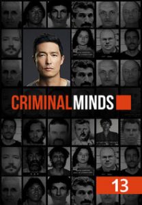 Мыслить как преступник 13 сезон (2017)