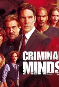 Мыслить как преступник (сериал 2005 – …)